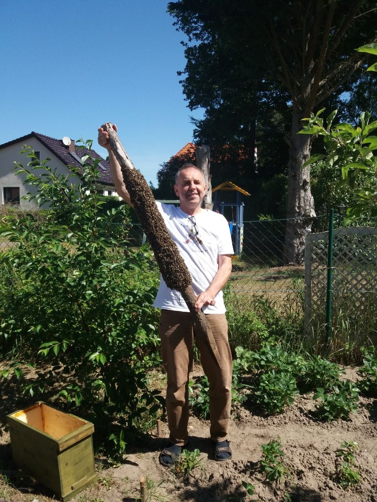 Imker bei der Arbeit am Bienenstock